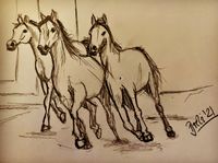 Skizze Pferde 